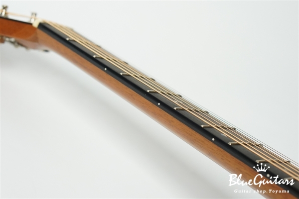 D-28B Brazilian Rosewood / Adirondack Spruce [サウンドメッセin大阪2024]